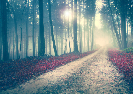 Δίας στον Ζυγό στις 9 Σεπτεμβρίου 2016, από την Μαρία Σύλλα.