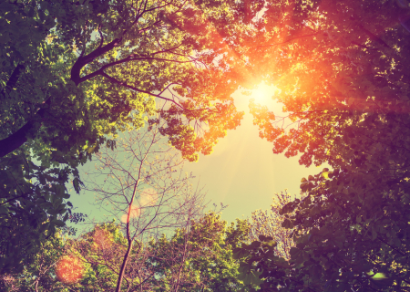 Έκλειψη Σελήνης στον Λέοντα στις 11 Φεβρουαρίου 2017 (βίντεο).