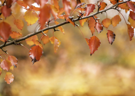 Τα άστρα την Πέμπτη, με τον Ερμή σε αντίθεση με Ουρανό.