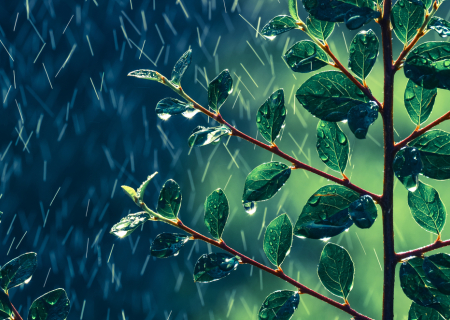 Τα άστρα την Πέμπτη, με τον Ερμή σε εξάγωνο με την Αφροδίτη.