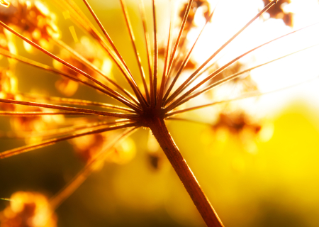 Τα άστρα την Πέμπτη, με τον Ερμή σε εξάγωνο με Πλούτωνα.