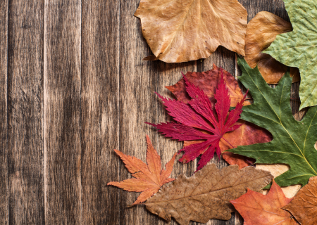 Τα άστρα την Τετάρτη, με τον Ερμή σε στάση, σε τρίγωνο με Πλούτωνα.