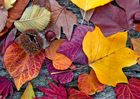 Τα άστρα την Πέμπτη, με τον Ερμή στον Τοξότη.