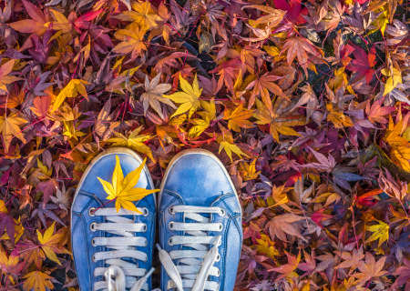 Τα άστρα την Δευτέρα, με τον Ερμή σε τετράγωνο με Άρη.