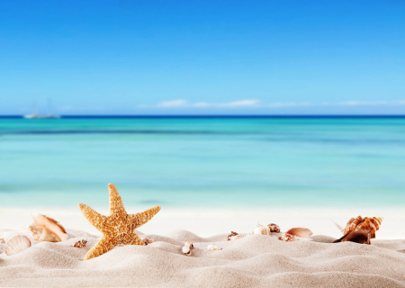 Τα άστρα την Τρίτη, με τον Ερμή σε τρίγωνο με ανάδρομο Ποσειδώνα.