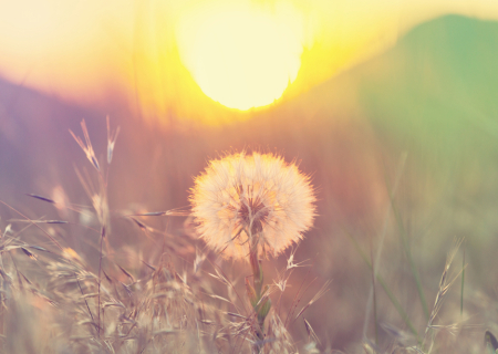 Η ερwτική συμβουλή του Σαββατοκύριακου, 15-16 Οκτωβρίου 2016.