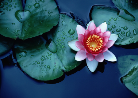 Η ερωτική συμβουλή του Σαββατοκύριακου, 17-18 Σεπτεμβρίου 2016.