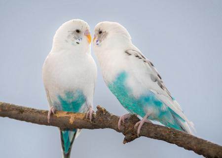 Η ερωτική συμβουλή της Τετάρτης, 22 Ιουνίου 2016.