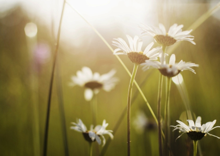 Η ερωτική συμβουλή της Δευτέρας, 27 Ιουνίου 2016.