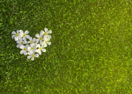 Η ερωτική συμβουλή της Τρίτης, 5 Ιουλίου 2016.