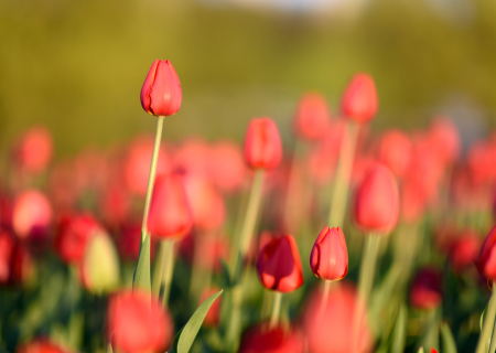 Η ερwτική συμβουλή της Δευτέρας, 10 Οκτωβρίου 2016.