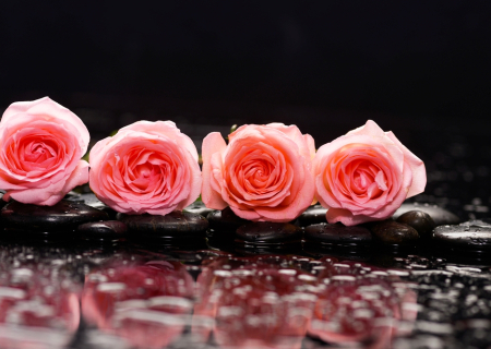 Η ερwτική συμβουλή της Δευτέρας, 14 Νοεμβρίου 2016.