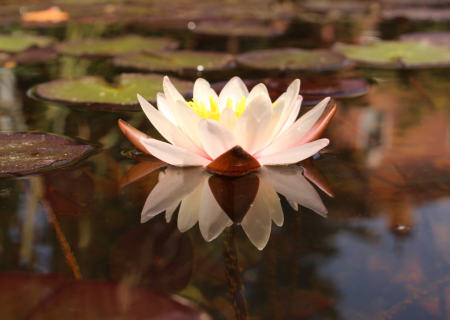 Η ερωτική συμβουλή της Δευτέρας, 5 Σεπτεμβρίου 2016.