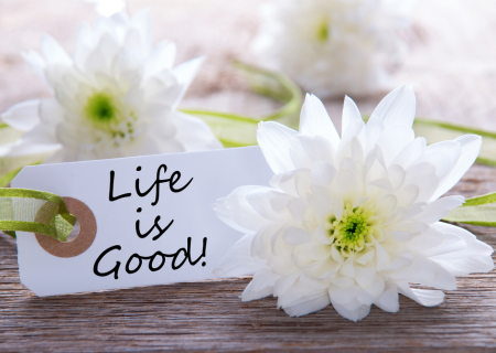 Η ερwτική συμβουλή της Παρασκευής, 11 Νοεμβρίου 2016.