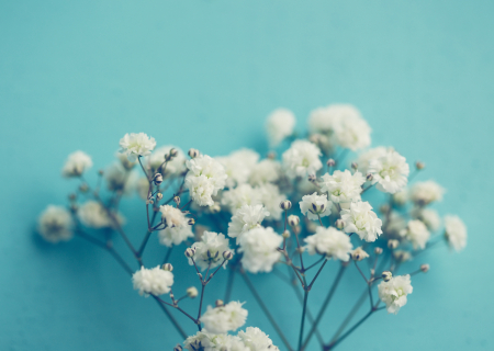 Η ερwτική συμβουλή της Παρασκευής, 14 Οκτωβρίου 2016.