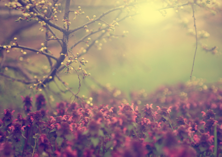 Η ερwτική συμβουλή της Παρασκευής, 18 Νοεμβρίου 2016.