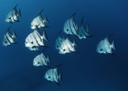 Η ερωτική συμβουλή της Παρασκευής, 26 Αυγούστου 2016.