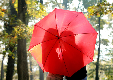 Η ερwτική συμβουλή της Πέμπτης, 17 Νοεμβρίου 2016.