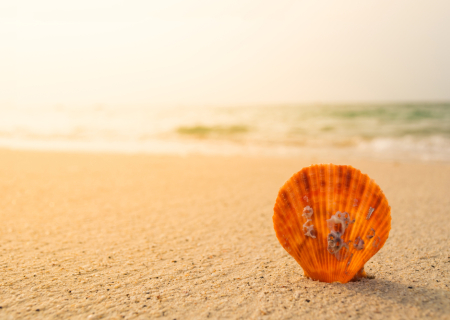 Η ερωτική συμβουλή της Τετάρτης, 7 Σεπτεμβρίου 2016.