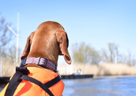 Η ερwτική συμβουλή της Τρίτης, 11 Οκτωβρίου 2016.