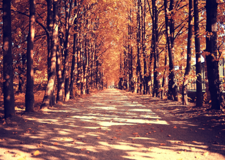 Τα άστρα την Πέμπτη, με Ήλιο σε εξάγωνο με Δία και σύνοδο με Κρόνο.