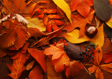 Τα άστρα την Πέμπτη, με τον Ήλιο σε σύνοδο με Ερμή στον Σκορπιό.