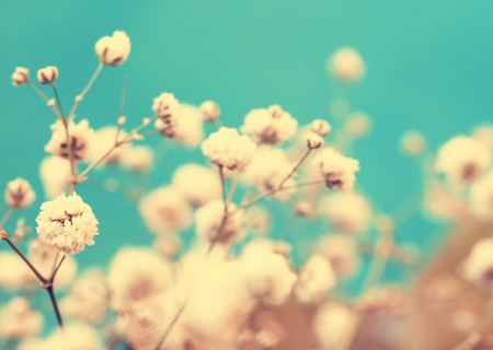 Τα άστρα την Τετάρτη, με τον Ήλιο σε σύνοδο με Ποσειδώνα.