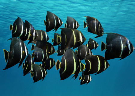 Τα άστρα 2-4 Σεπτεμβρίου 2016 με τις αστρολογικές όψεις του τριημέρου.