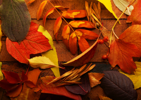 Τα άστρα 7 ως 9 Οκτωβρίου 2016, με τον Ήλιο σε τετράγωνο με Πλούτωνα.