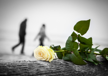 Αισθηματικές αστρολογικές προβλέψεις Μαΐου 2017.