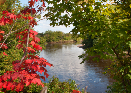 Τα άστρα την Δευτέρα, με τις αστρολογικές όψεις της εβδομάδας.