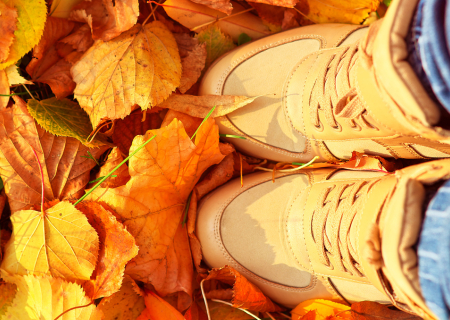 Τα άστρα 30 Σεπτεμβρίου ως 2 Οκτωβρίου 2016, με την Νέα Σελήνη στον Ζυγο.