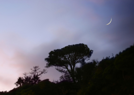 Νέα Σελήνη στον Τοξότη στις 29 Νοεμβρίου 2016, από την Μαρία Σύλλα.