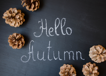 Οκτώβριος 2017 και προβλέψεις για τα 12 ζώδια, από την Μαρία Σύλλα.