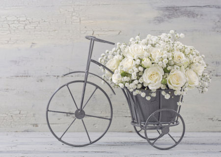 Τα άστρα την Τετάρτη, με την Πανσέληνο στον Αιγόκερω.