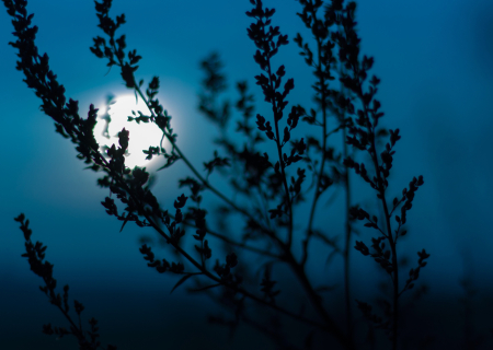 Πανσέληνος στον Αιγόκερω στις 28 Ιουνίου 2018 (Video), από την Λιλή Ζαγκανά.