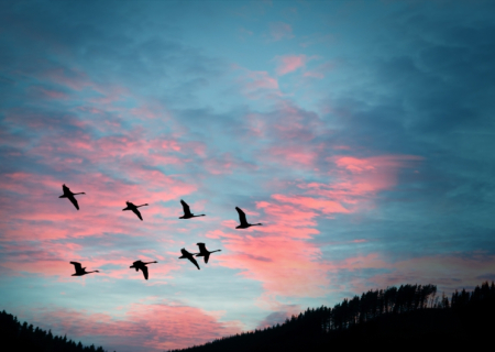 Το Αστροσκόπιο της εβδομάδας 20 έως 26/3/2017, από τον Χρίστο Ντούβλη.