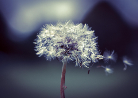 Το Αστροσκόπιο της εβδομάδας 22 έως 28/1/2018, από τον Χρίστο Ντούβλη.