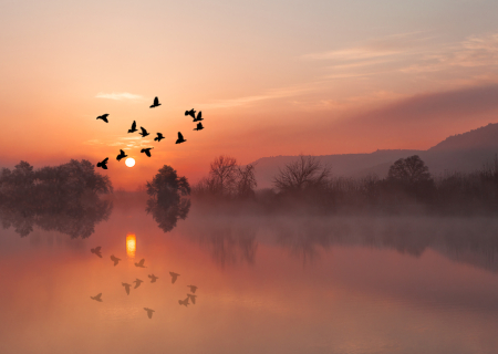 Το Αστροσκόπιο της εβδομάδας 25 έως 1/10/2017, από τον Χρίστο Ντούβλη.