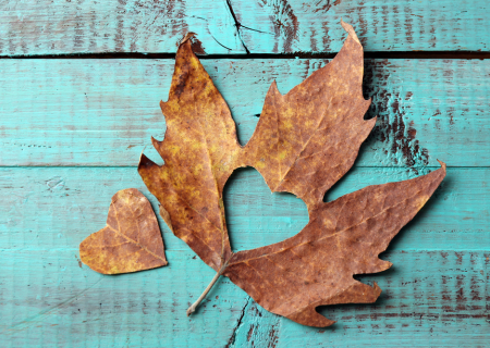 Το Αστροσκόπιο της εβδομάδας 26 ως 2/10/2016, από τον Χρίστο Ντούβλη.