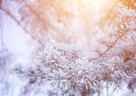 Το Αστροσκόπιο της εβδομάδας 5 έως 11/12/2016, από τον Χρίστο Ντούβλη.