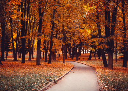 Το Αστροσκόπιο της εβδομάδας 9 έως 15/10/2017, από τον Χρίστο Ντούβλη.
