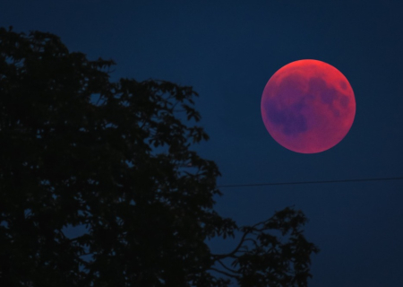 Η έκλειψη Σελήνης στον Λέοντα στις 21 Ιανουαρίου 2019 από την Λίνα Χαμπιλίδου (Video).