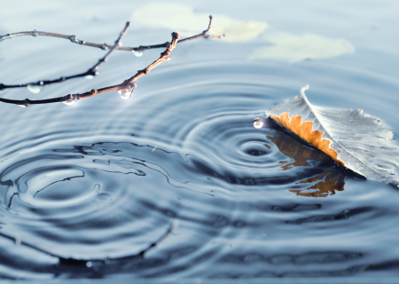 Τα άστρα την Τετάρτη, με την Σελήνη από Υδροχόο στους Ιχθείς.