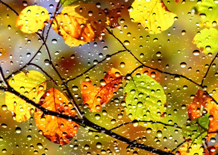 Τα άστρα την Δευτέρα, με την Σελήνη στους Ιχθείς.