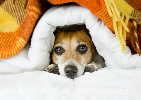 Τα άστρα την Τρίτη, με την Σελήνη στην Παρθένο.