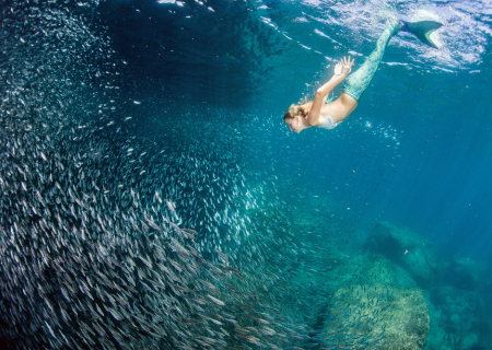 Τα άστρα την Τρίτη, με την Σελήνη στον Σκορπιό.