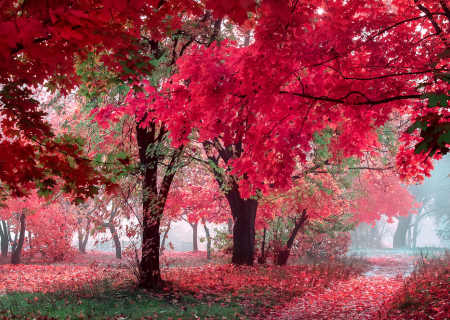 Τα άστρα την Δευτέρα, με την Σελήνη στην Παρθένο.