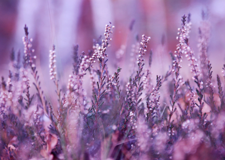 Τα άστρα την Τρίτη, με την Σελήνη στον Ταύρο.