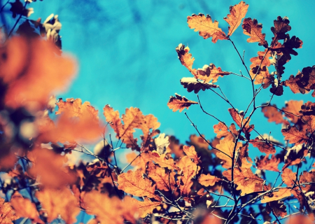 Τα άστρα την Δευτέρα, με την Σελήνη στον Υδροχόο.